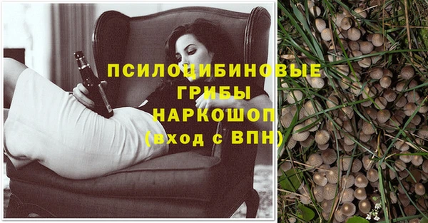 ешки Кукмор