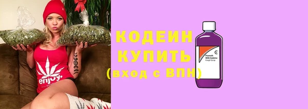 прущие крисы Кулебаки