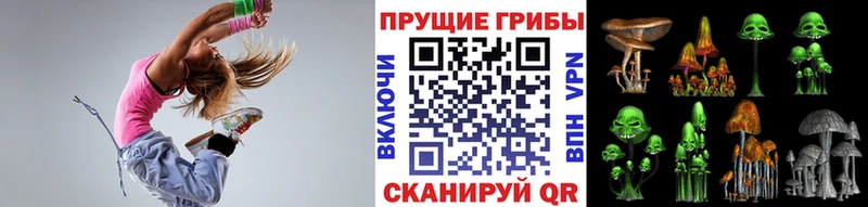 Галлюциногенные грибы MAGIC MUSHROOMS  Купить закладки  Боготол 