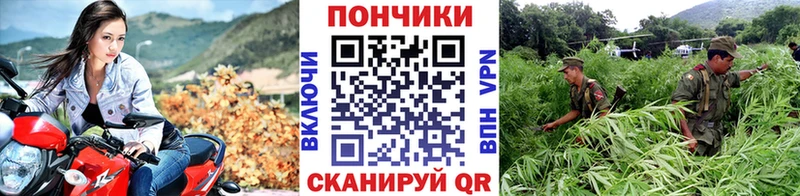 Купить закладки  Боготол  Бошки Шишки MAZAR 